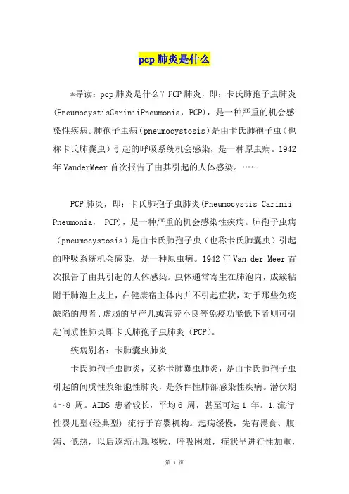 pcp肺炎是什么