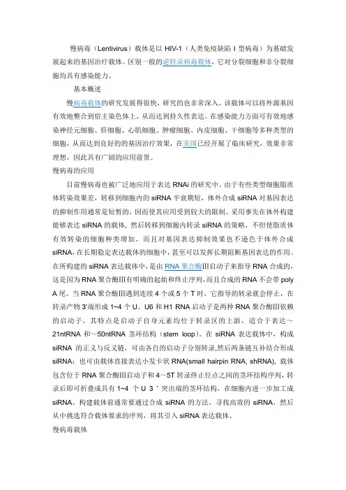 慢病毒转染手册