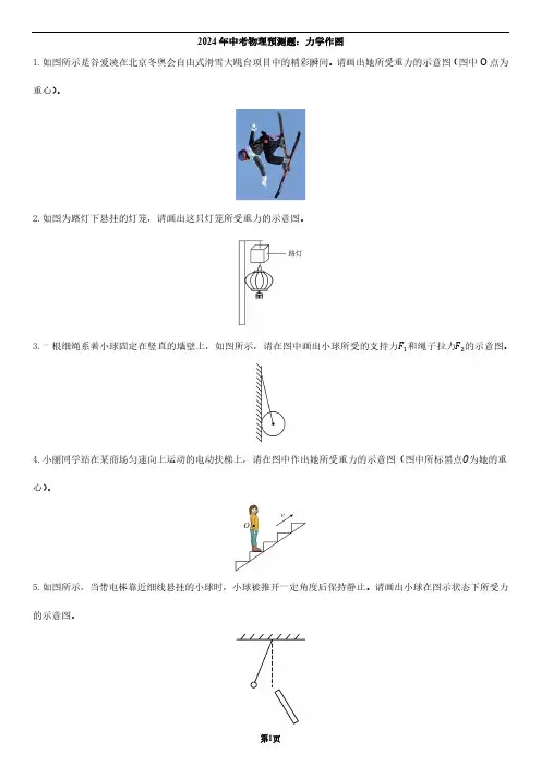 2024年中考物理预测题：力学作图