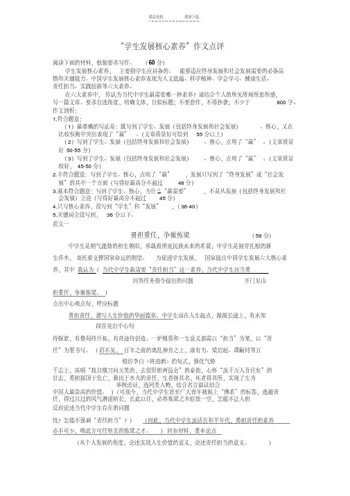 【优质文档】学生发展核心素养--作文点评