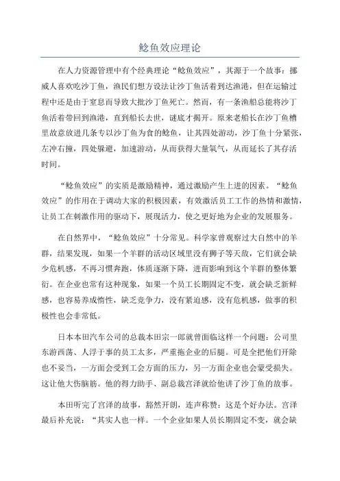 鲶鱼效应理论
