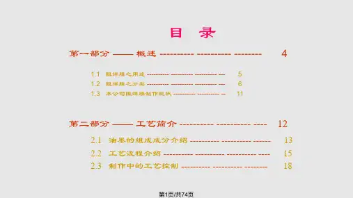 阻焊工艺半导体解析PPT课件