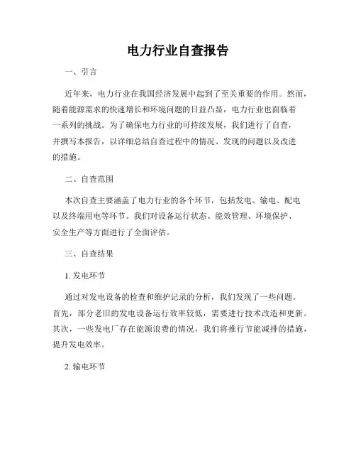 电力行业自查报告