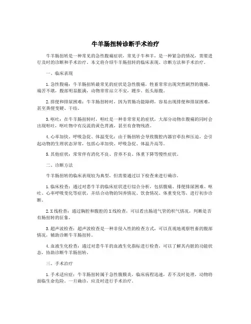 牛羊肠扭转诊断手术治疗