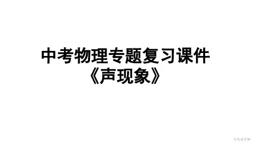 2020年人教版中考物理专题复习课件《声现象》(共18张PPT)