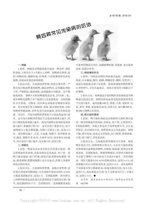 鸭四种常见传染病的防治