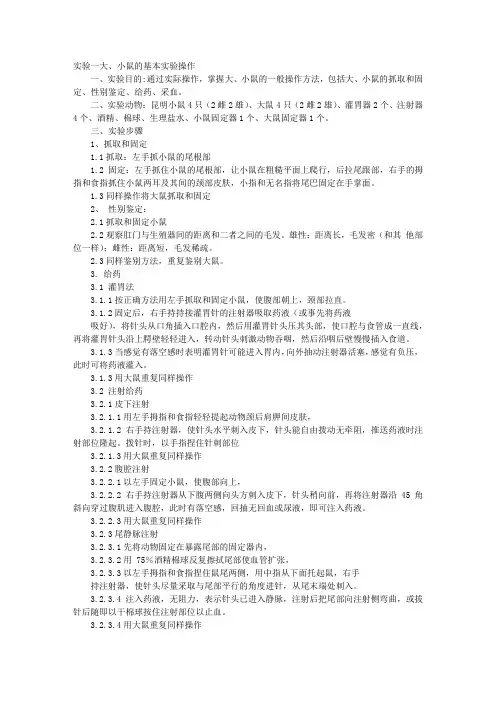 动物实验报告