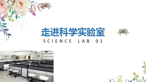 走进科学实验室(课件49张)