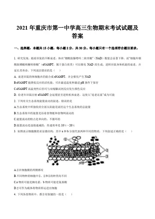 2021年重庆市第一中学高三生物期末考试试题及答案