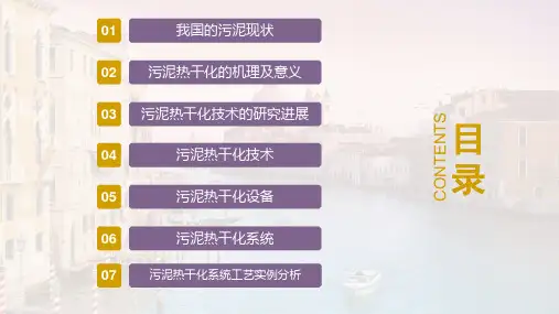 污泥热干化技术ppt课件