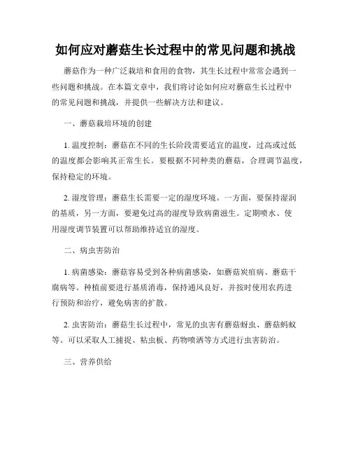 如何应对蘑菇生长过程中的常见问题和挑战