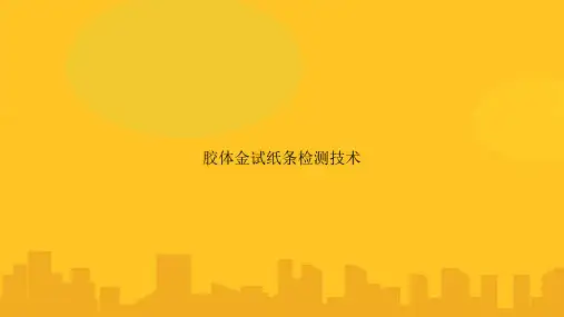 胶体金试纸条检测技术PPT优秀版
