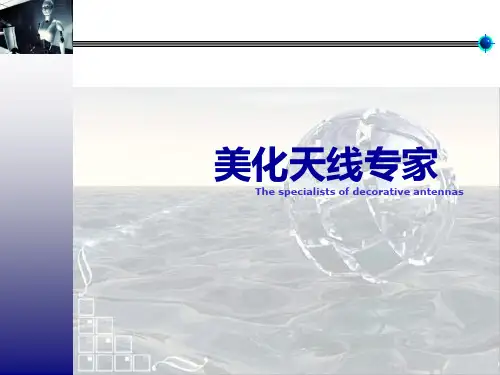 美化天线 PPT课件