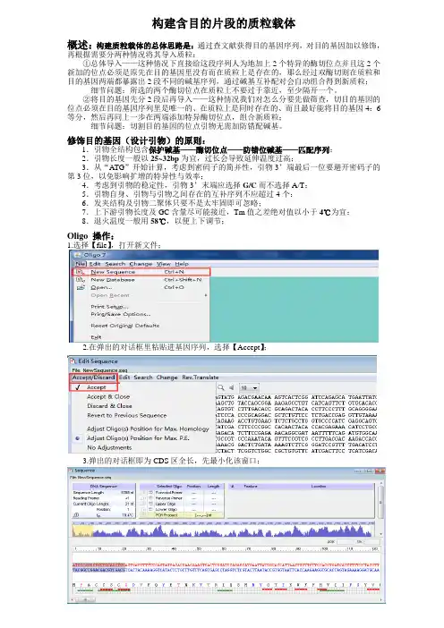 Oligo 7操作方法
