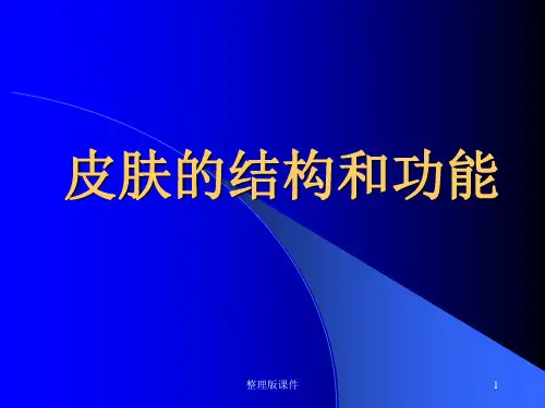 皮肤性病学专业全套完整ppt课件