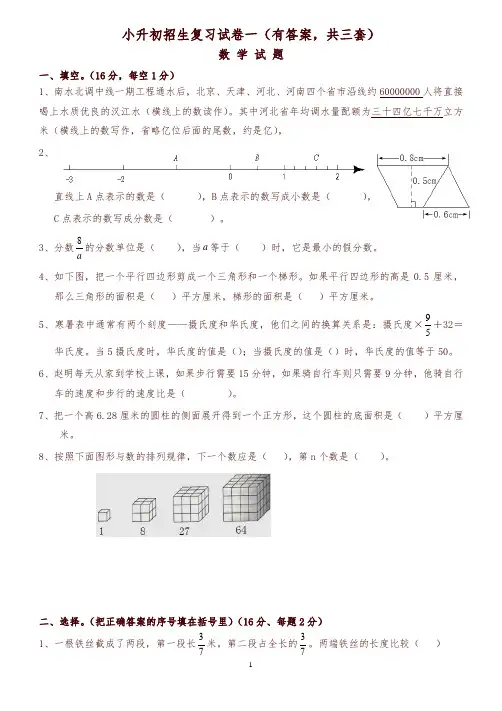 【精编】2019小升初考试数学试题及答案解析[共3套]