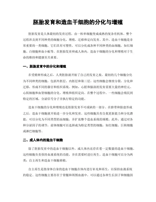 胚胎发育和造血干细胞的分化与增殖