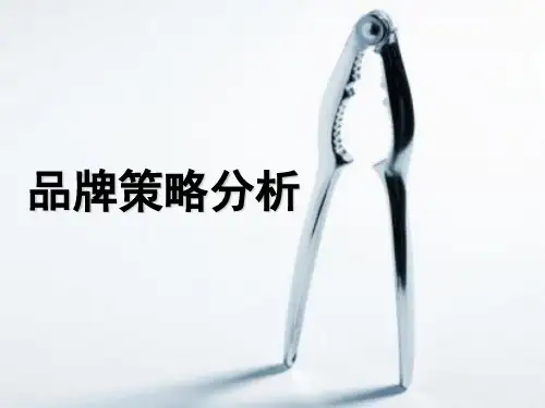 顾家家居品牌战略分析