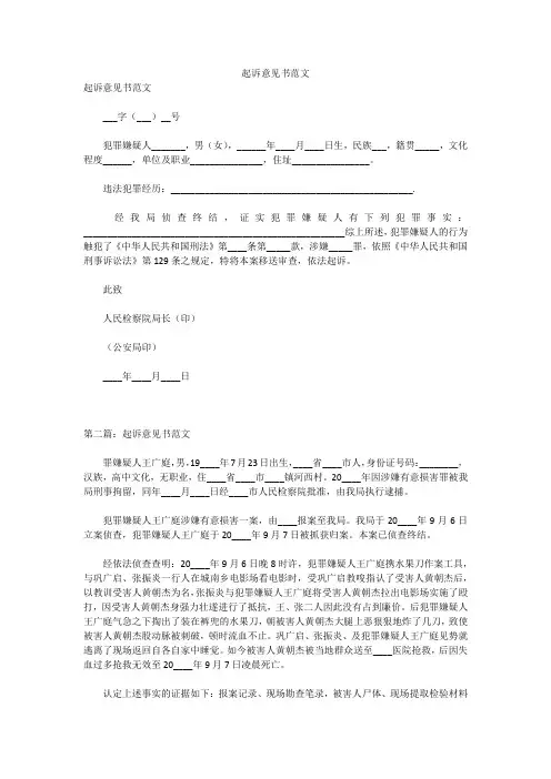 起诉意见书范文