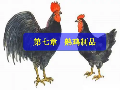 畜产品 第七章   熟鸡制品