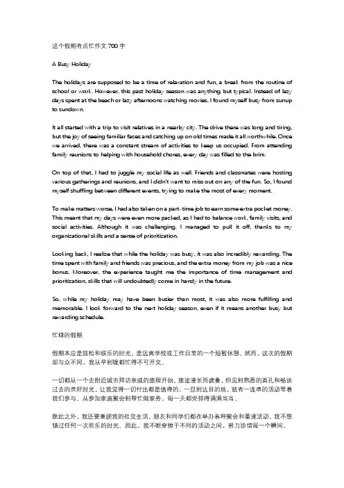 这个假期有点忙作文700字