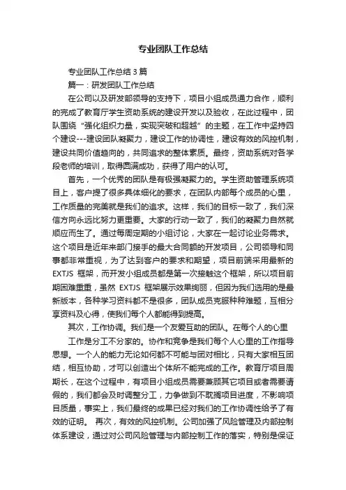 专业团队工作总结3篇