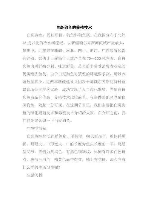 白斑狗鱼的养殖技术