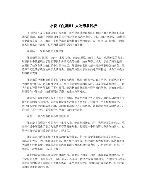 小说《白鹿原》人物形象浅析