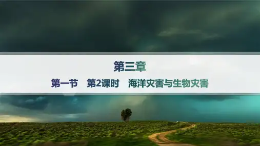 中图版高中地理必修第一册课件 第3章 常见自然灾害的成因与避防 第1节 第2课时 海洋灾害与生物灾害