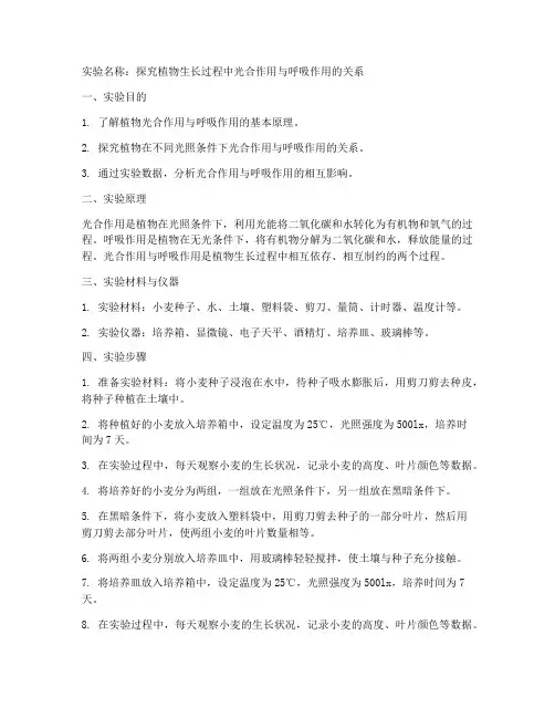 自行设计实验报告
