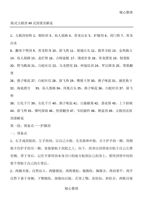 陈式太极剑式剑谱及解说