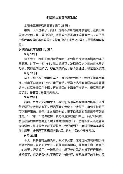 水培绿豆发芽观察日记