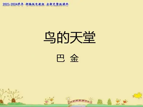《鸟的天堂》课件(第二课时)(共23张PPT)