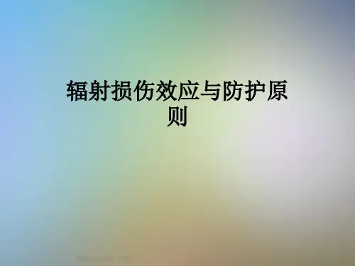 辐射损伤效应与防护原则