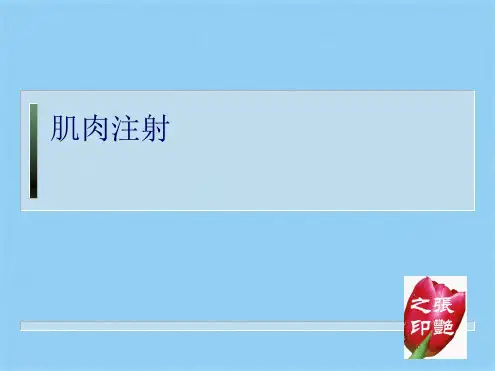 肌肉注射(共10张PPT)