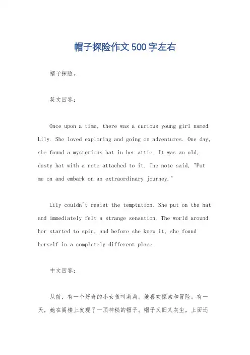 帽子探险作文500字左右