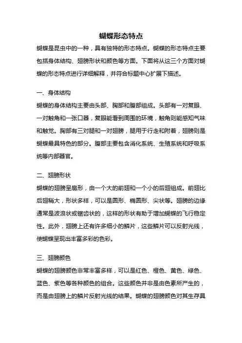 蝴蝶形态特点