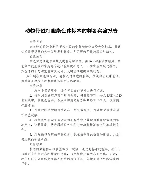 动物骨髓细胞染色体标本的制备实验报告