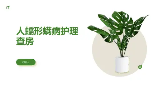 人蠕形螨病护理查房PPT