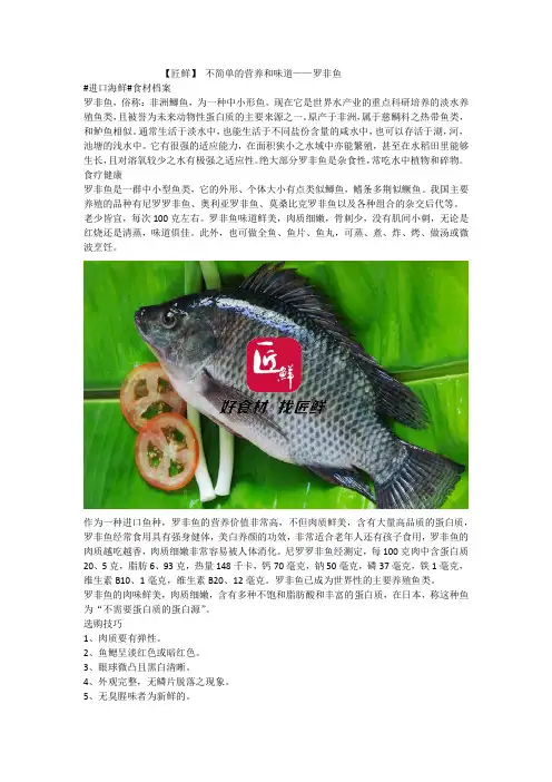 【匠鲜】 不简单的营养和味道——罗非鱼
