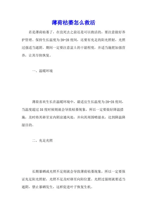 薄荷枯萎怎么救活