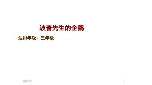 人教部编版三年级下册语文童书教学《 波普先生的企鹅 》(共13张PPT)