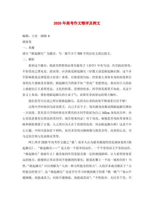 2020年高三语文高考作文精评及例文