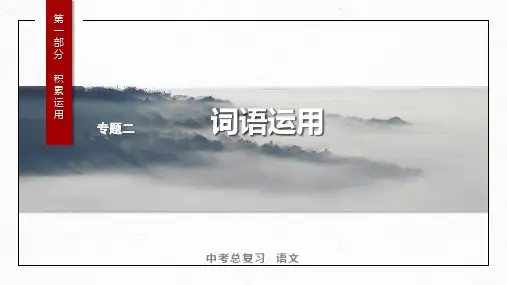 2024年广东省中考语文一轮总复习：词语运用