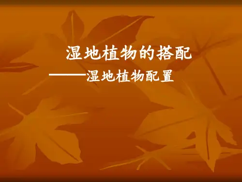 湿地植物配置