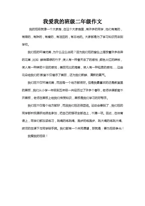 我爱我的班级二年级作文