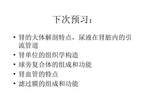 消化系统的结构与功能