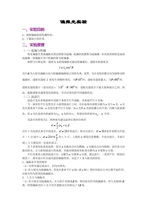 偏振光实验