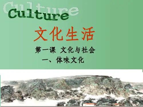 高中政治 第一单元 第一课 第一框 体味文化课件 新人教版必修3