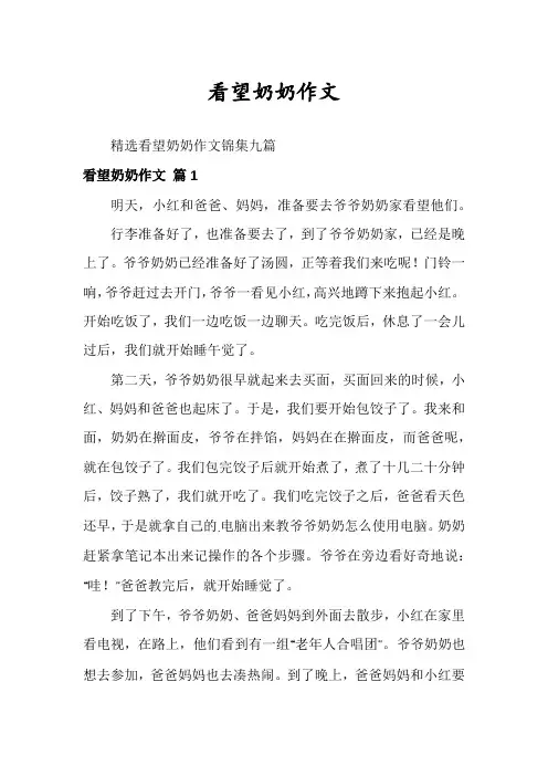 看望奶奶作文